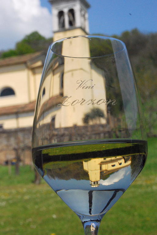 Agriturismo Domus Rustica Cormòns Extérieur photo